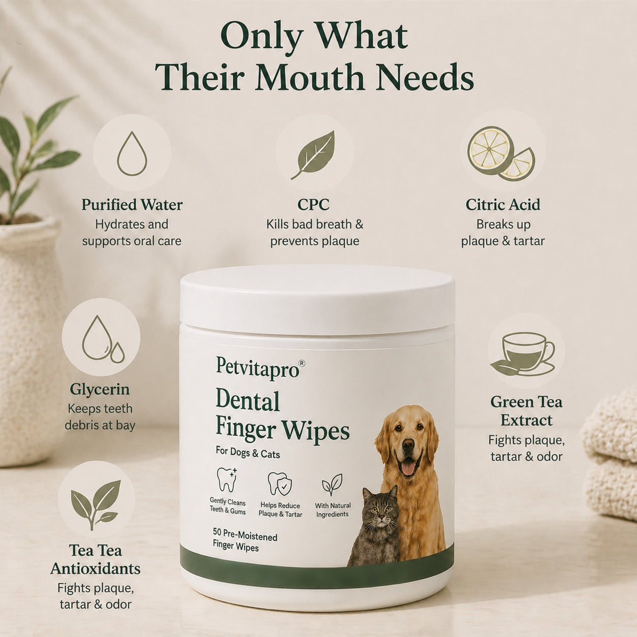 Daily Pet Dental Wipes