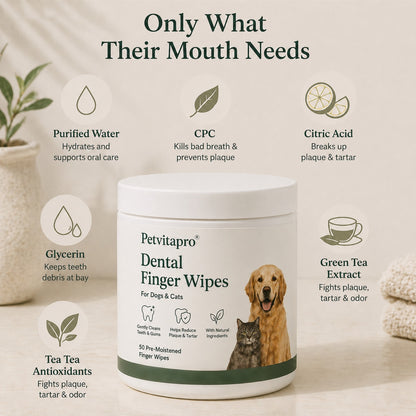 Daily Pet Dental Wipes