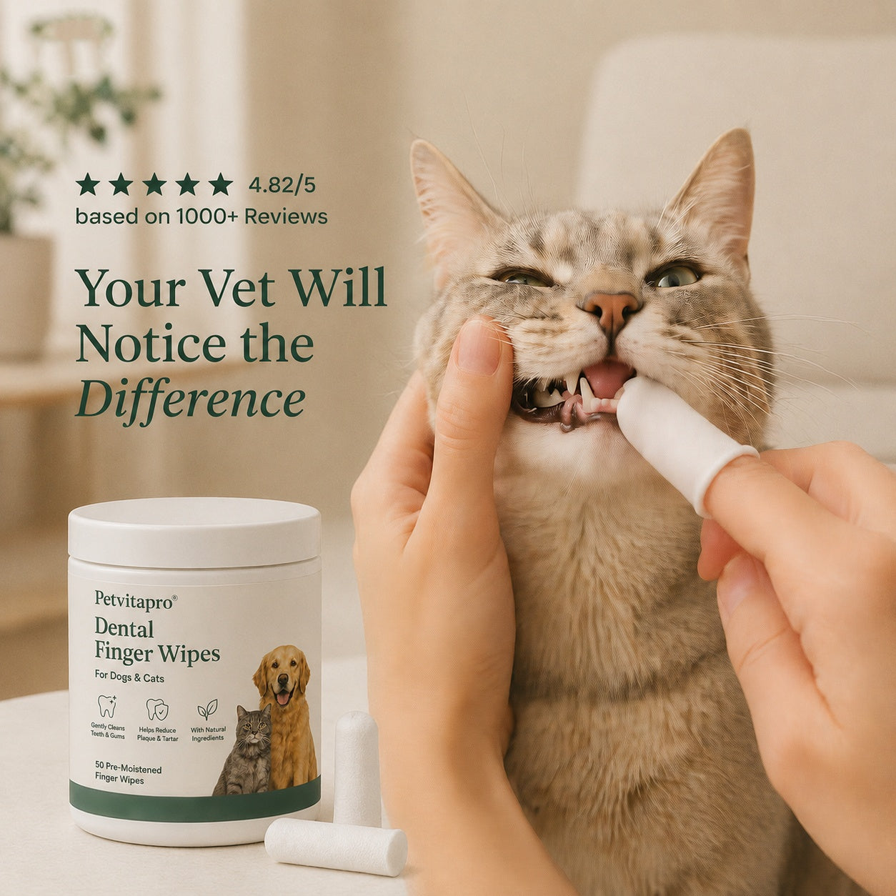 Daily Pet Dental Wipes