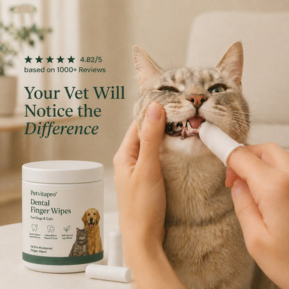Daily Pet Dental Wipes